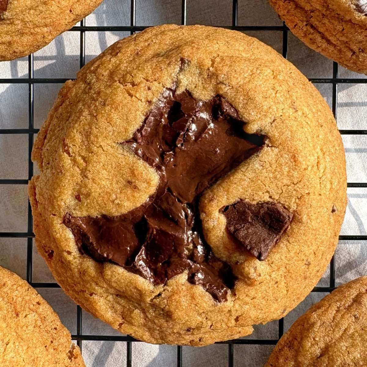 A cookie with chocolate chunks sits on a cooling rack. Shop online for the best eggless cookies in India: Mumbai, Bangalore, Delhi.