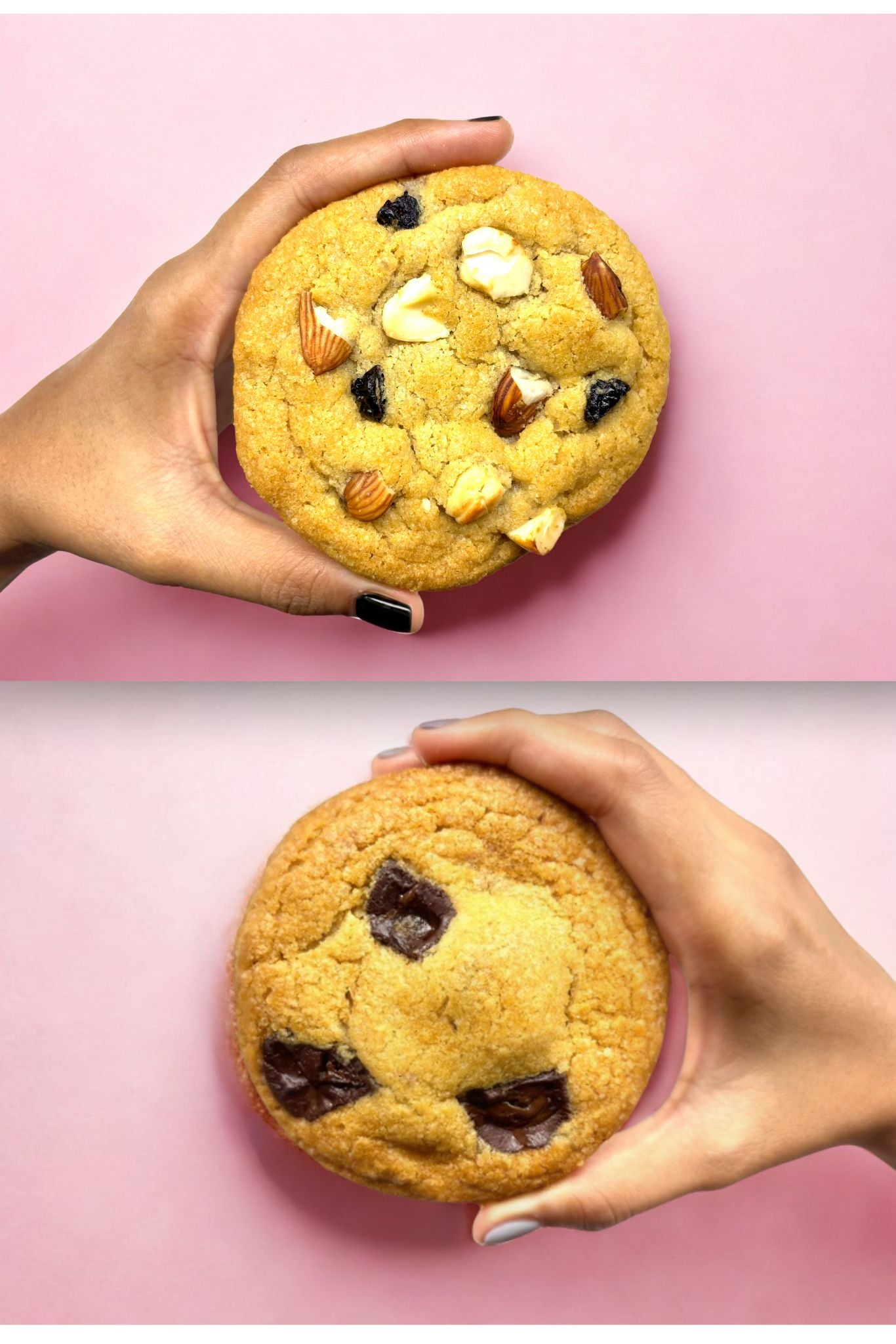 Buy eggless dryfruit and chocolate chunk cookies online in India. Premium handcrafted cookies with nuts, berries, and rich chocolate chunks from Queen Cookies, perfect for gifting or personal treats.