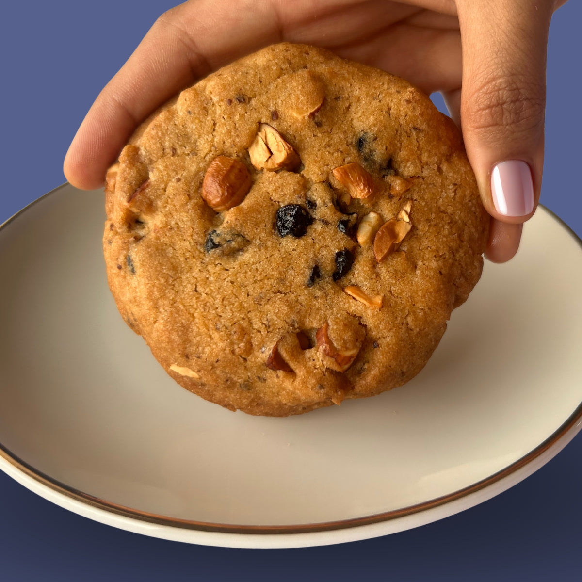 Hand holding eggless dry fruit cookie with nuts and berries, order fresh online from Queen Cookies India